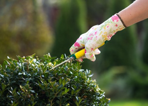 Back garden landscaping in Gidea Park designed for relaxation and family use