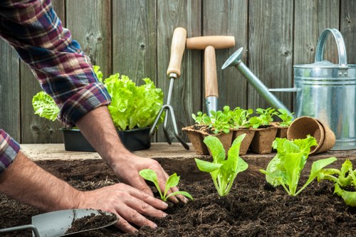 Gardeners Gidea Park working on a healthy front garden