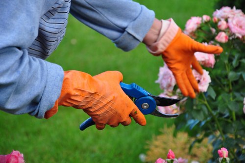 Health and safety policy for a gardening team at work