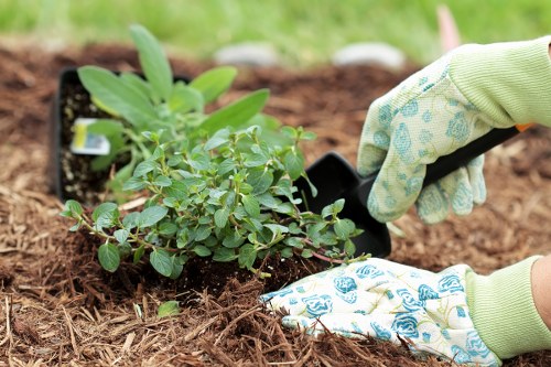 Gardener preparing a landscaped garden for service terms illustration