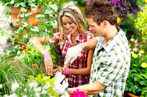 Professional garden care creating an attractive outdoor space in Gidea Park