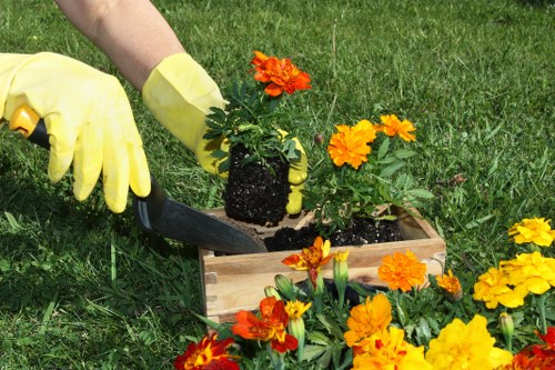 Weed control and border maintenance in a well-kept Gidea Park garden