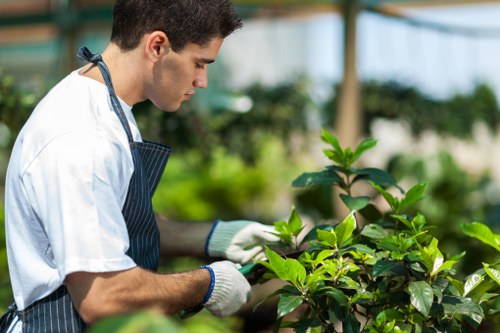 Responsible use of equipment and site safety measures in gardening