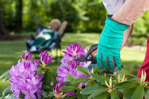 Accessibility support illustration for local gardening users