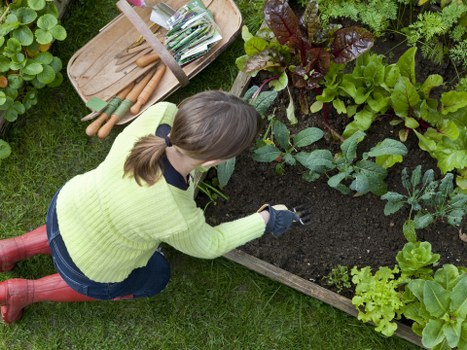 Closing image concept for lawful gardening services and agreements