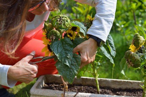 Free quote policy for local garden services